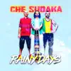 Che Sudaka - Rainy Days (feat. Sergio Rotman) - Single